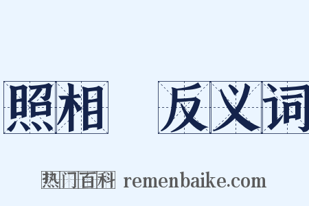 照相機反义词是什么意思的图片